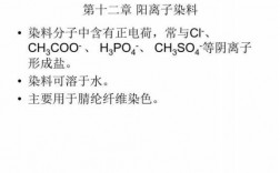 阳离子x的染料到sd染料比例-分散阳离子染料染色方法