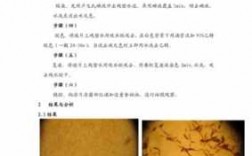 阳离子染料染色实验结果怎么写 阳离子染料染色实验结果