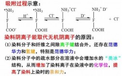 弱酸性染料的染色,弱酸性染料染色机理为 