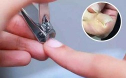 指甲剪轴坏了修复多少钱,指甲剪轴坏了修复多少钱啊 