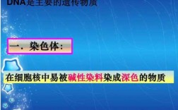 染色体经碱性染料染色,染色体碱性染料为什么呈酸性 