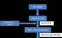 死活细胞染色的操作方法 细胞死活染色染料aoeb