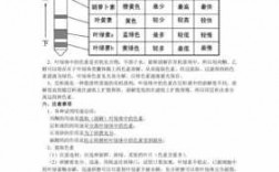 制作染料过程中的注意事项-染料的制备及染色实验报告