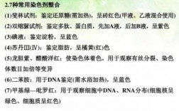 使染色体着色的碱性染料_能使染色质染色的碱性材料