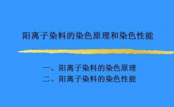  阳离子染料染色研究现状「阳离子染料的应用特点」