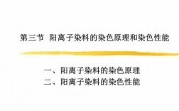  分散阳离子染料的染色方法「阳离子型染料」