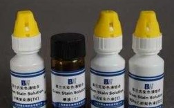 细菌活体染色-活菌染色常用的染料