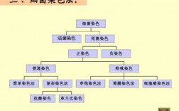 细菌染色为什么用碱性染料染色