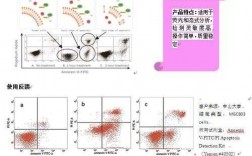 7aad染死细胞原理