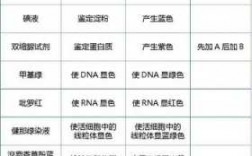 染色体可被什么染料染色（染色体可以用什么试剂染色）