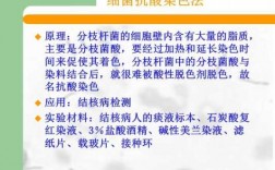 常用于细菌染色的酸性染料,细菌学中最常用的染色方法是抗酸染色法 