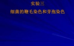 芽孢染色常采用的染料是_芽孢染色常采用的染料是哪种