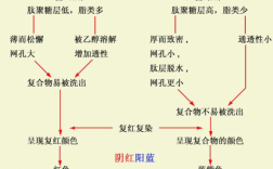 革兰染色用到的四种染料是什么_革兰染色所用染液的顺序是什么