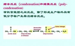 缩合 缩聚