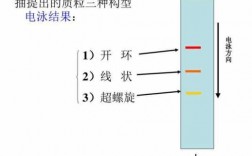 dna在碱性条件下带什么电荷 dna可以被什么碱性染料染色