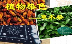 植物染料染色的起源与发展-植物染料染色的起源