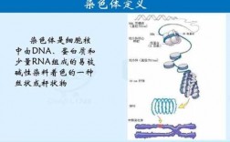  y染色体更适合碱性染料吗「y染色体更适合碱性染料吗知乎」