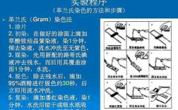 观察有丝分裂时常用酸性染料染色的简单介绍