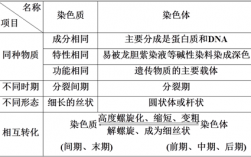 为什么染色质容易被碱性染料染成深色 染色体为什么用碱性染料进行染色