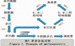  合成染料染色机理图解大全「合成染料的优缺点」