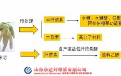 活性染料染竹纤维染色工艺（活性染料染纤维素纤维的化学反应过程）