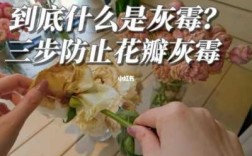 花瓣厂染色的染料刺鼻（花瓣染色怎么洗掉）