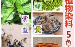 可以染色的植物染料有什么作用 可以染色的植物染料有什么