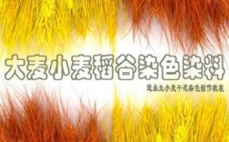  麦子染色用什么染料「麦子上色后怎样才能不褪色」