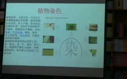 植物染料染色技艺培训内容怎么写 植物染料染色技艺培训内容