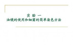 细菌镜检用什么染料染色,细菌的染色标本要用油镜观察,如何操作 