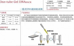 染色染料对dna胶回收的影响有哪些-染色染料对dna胶回收的影响