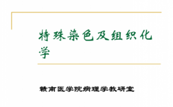 特殊染色及酶组化学染料_特殊染色及酶组织化学染色诊断怎么做