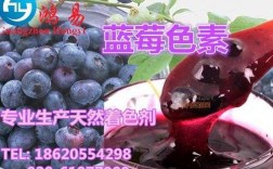 蓝莓怎么做染料染色剂视频