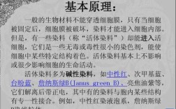 细胞染色既有什么作用又有什么作用-细胞染色染料及其原理