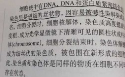  染色质易被碱性染料染色吗「染色体易被碱性染料染色」