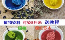 造花染料掉色染色方法_造花染料掉色染色方法图解