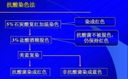 抗酸染色所用染料的顺序是怎样的（抗酸染色的染色程序）