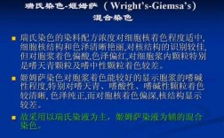 瑞氏染色试剂与配制方法与注意事项 瑞氏染色染料配方