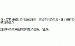 染色质容易被碱性染料染色 染色质容易被碱性染料