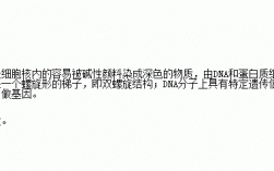 核质易被碱性染料染色_细胞核中容易被碱性染料染色的物质叫