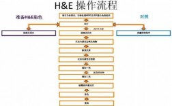 h一e染色名词解释 H.E染色是指哪两种染料染色