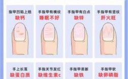 信阳修复指甲（修指甲上门服务app）