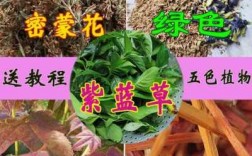 可以染色植物的染料是什么,能染色的植物的名字 