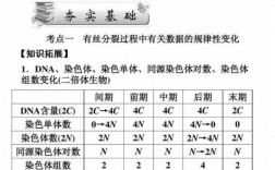 有无染料对细胞染色体的影响-有无染料对细胞染色