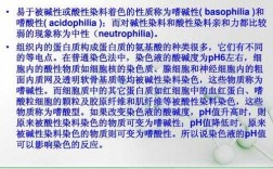 染色体与碱性染料亲和力_he染色中的碱性染料