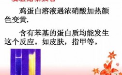 蛋白质会被碱性染料染色吗,蛋白质遇碱为什么变黄 