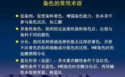  染料染色时常遇到的问题「染色过程中遇到的问题」