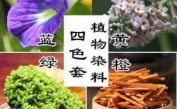 花怎样做染料染色快些,如何染花 