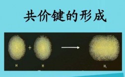 共价键通过形成什么达到稳定结构-通过共价键染色的染料