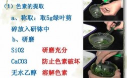 酒精染料使用教程 酒精染料染色步骤是什么